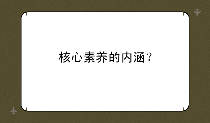核心素养的内涵？