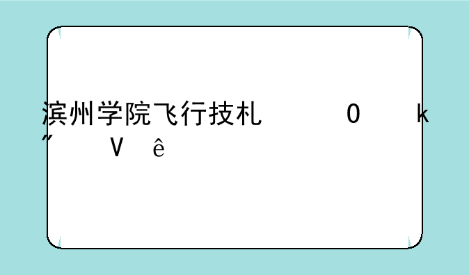 滨州学院飞行技术专业分数线