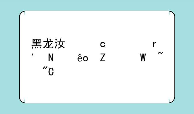 黑龙江高考有哪些方法查成绩