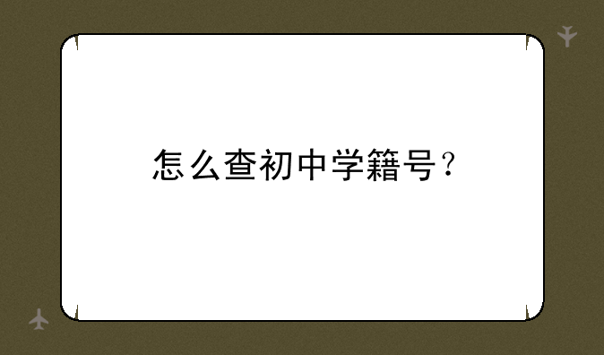 怎么查初中学籍号？