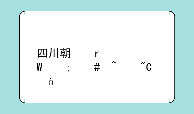 四川期末考试怎么查成绩？