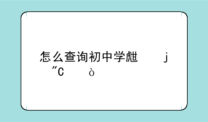怎么查询初中学生的成绩？