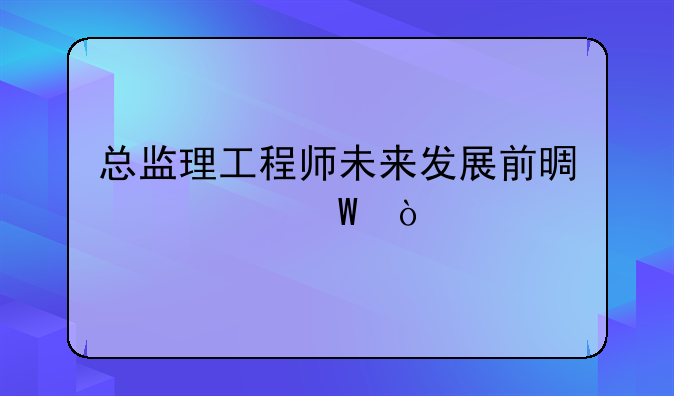 总监理工程师未来发展前景如何？