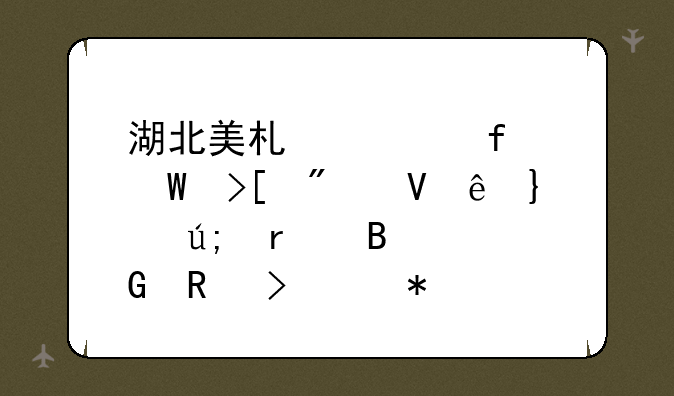 湖北美术学院录取分数线__美术理科生可以报哪些专业